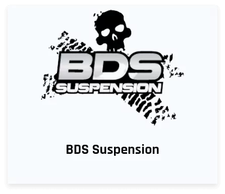 bds suspension