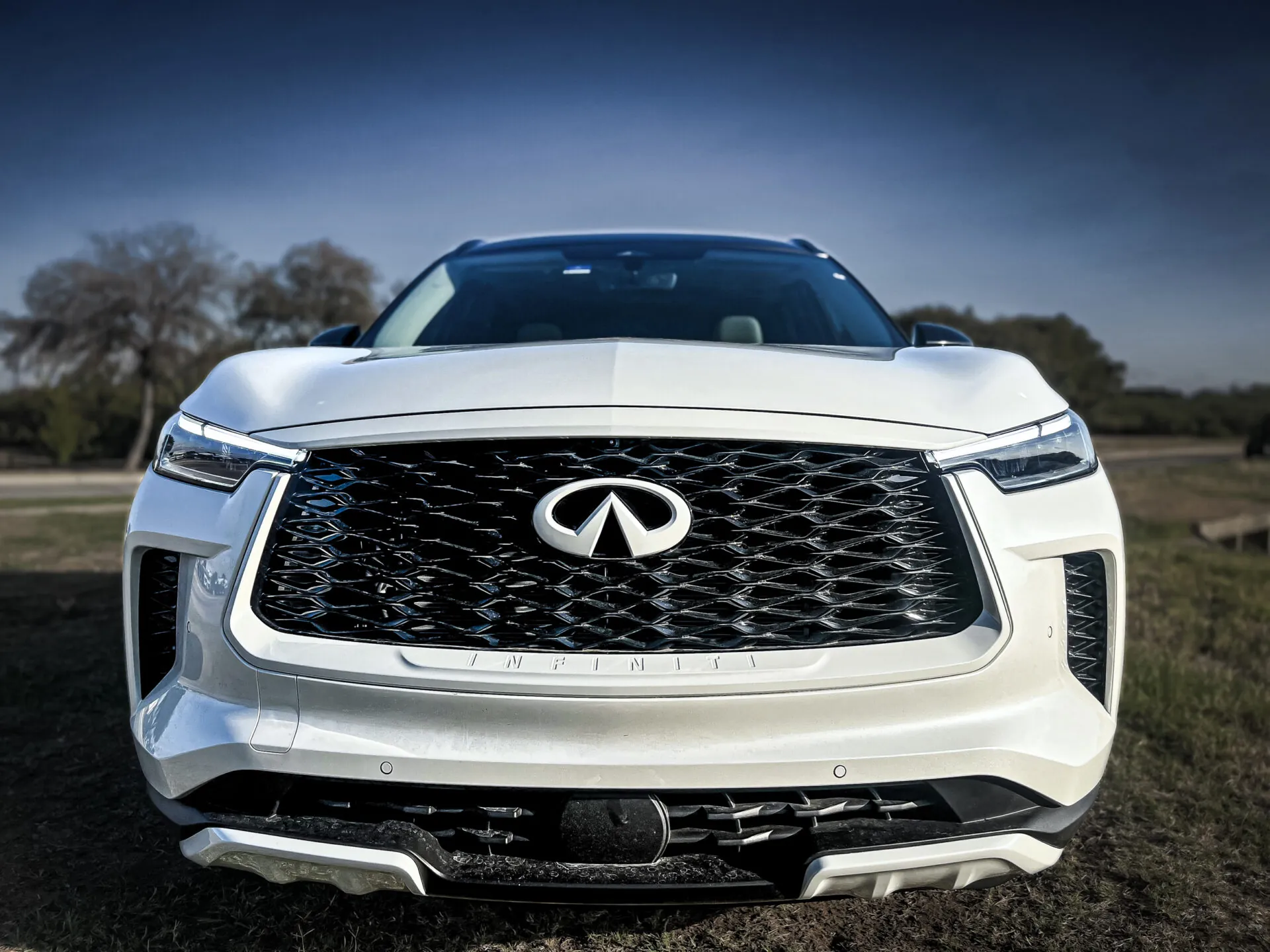 2023 White Infiniti QX60