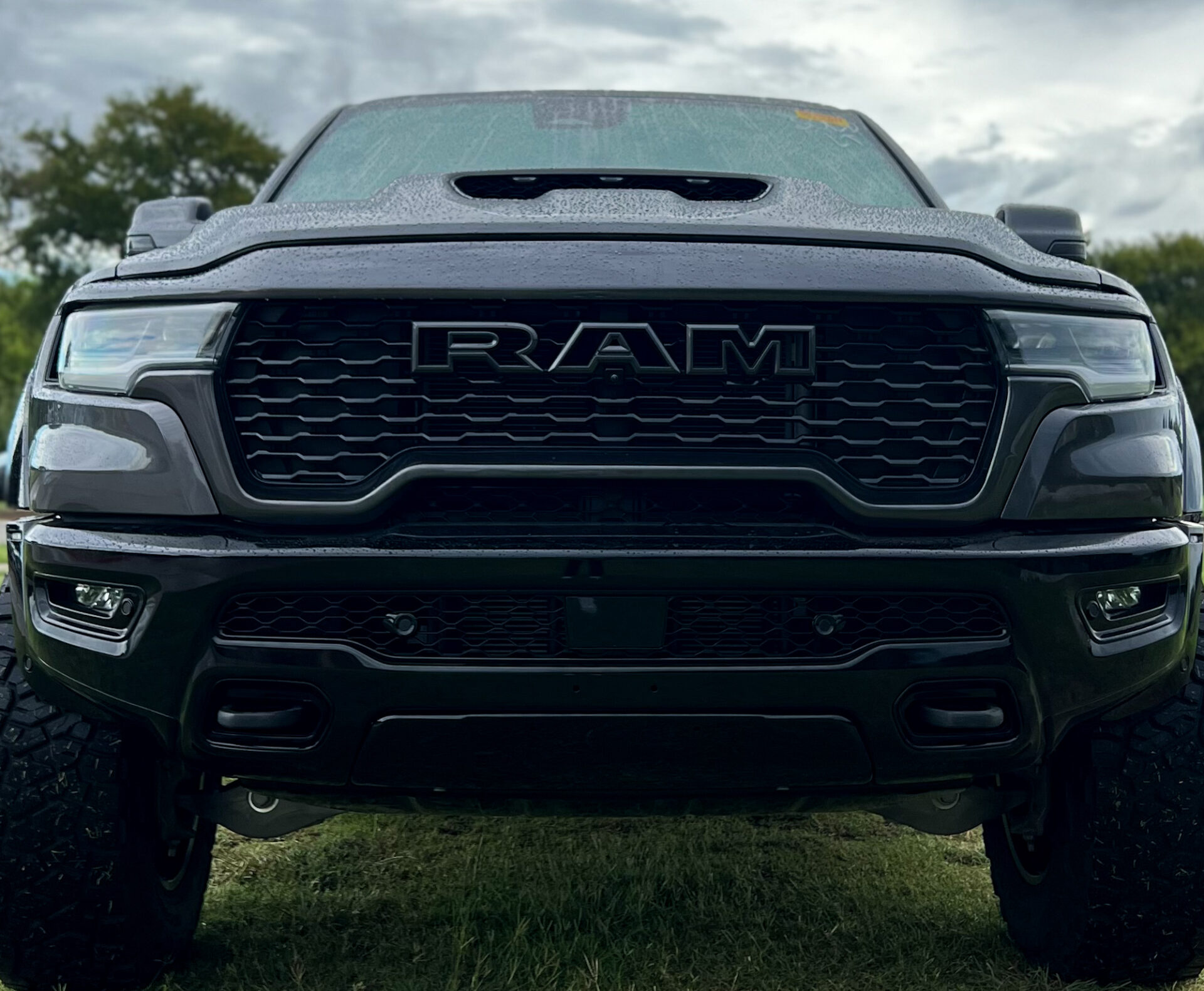 ram