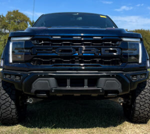 raptor